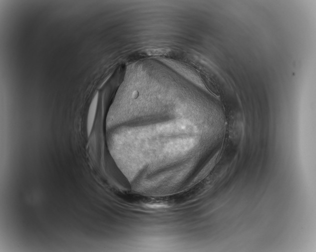 X0000088860604200707061052