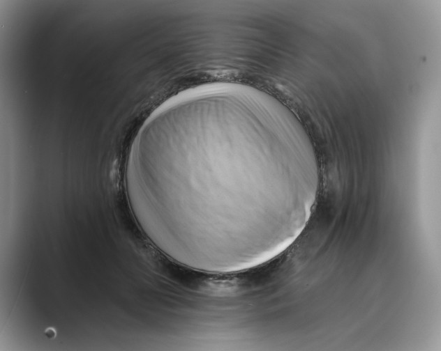 X0000088860606200707061052