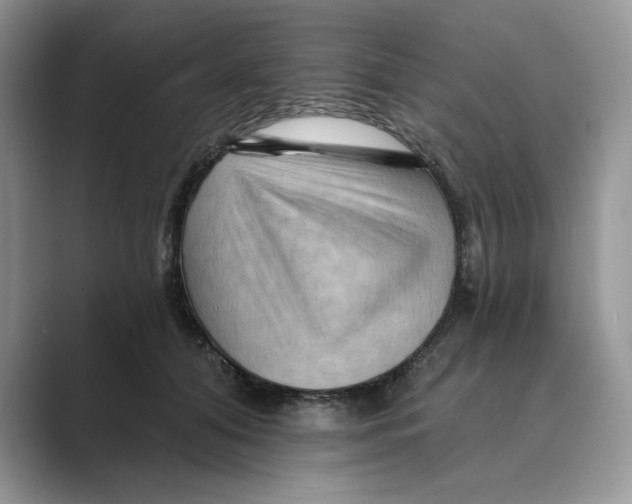 X0000088860608200707061052