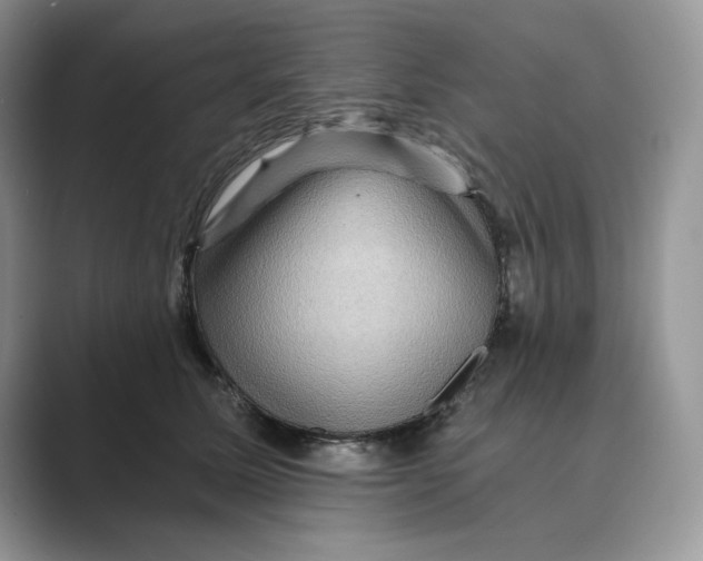 X0000088860611200707061052