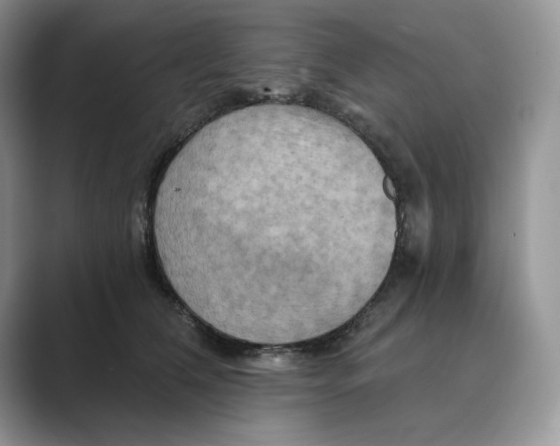 X0000088860612200707061052