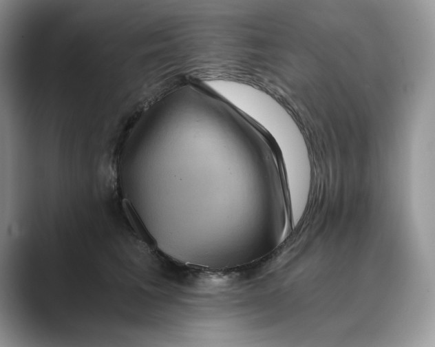 X0000088860613200707061052