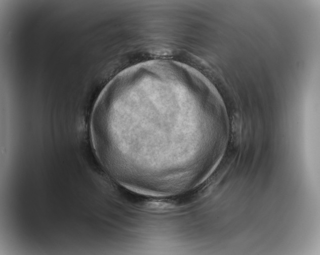 X0000088860614200707061052