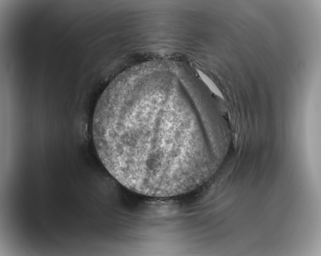 X0000088860615200707061052