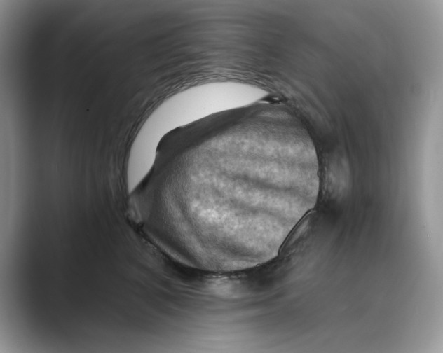 X0000088860616200707061052