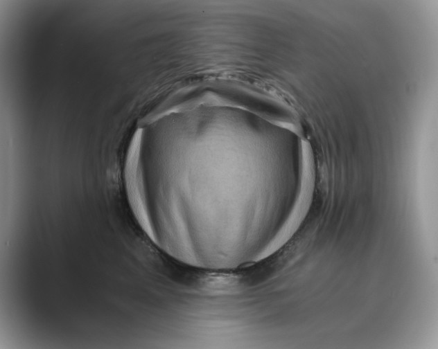 X0000088860617200707061052