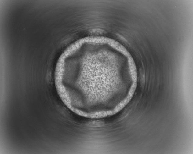 X0000088860619200707061052