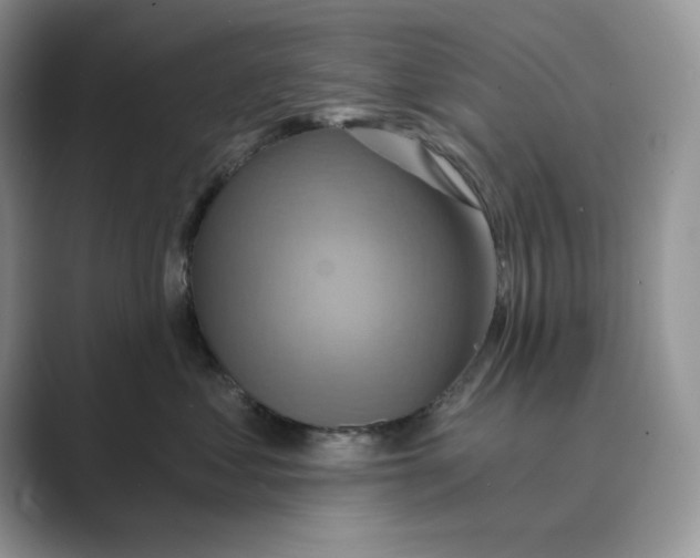 X0000088860621200707061052