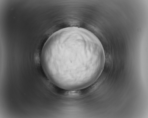 X0000088860622200707061052