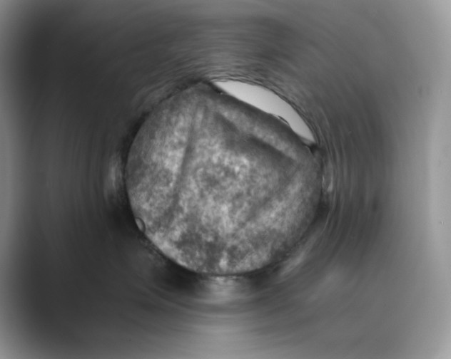 X0000088860623200707061052