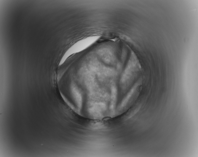 X0000088860624200707061052