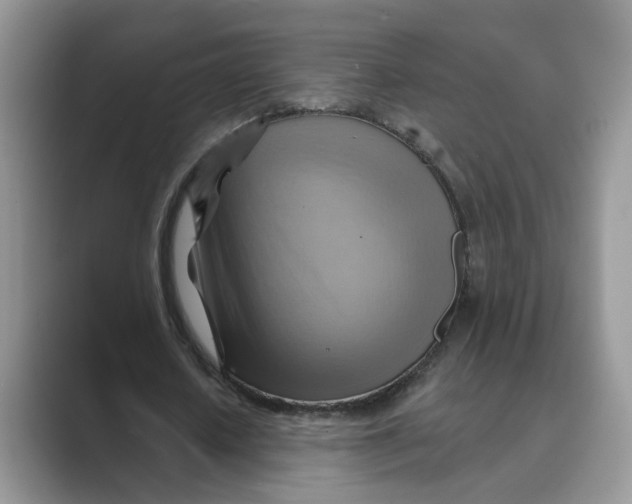 X0000088860626200707061051