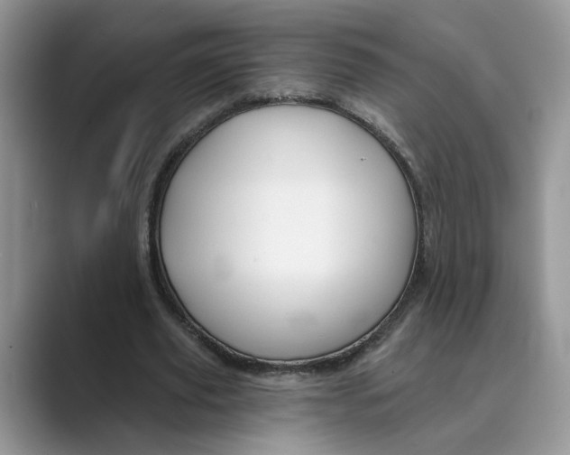 X0000088860629200707061051