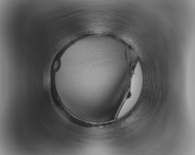 X0000088860630200707061051