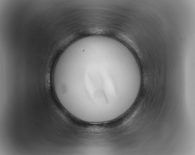 X0000088860633200707061051