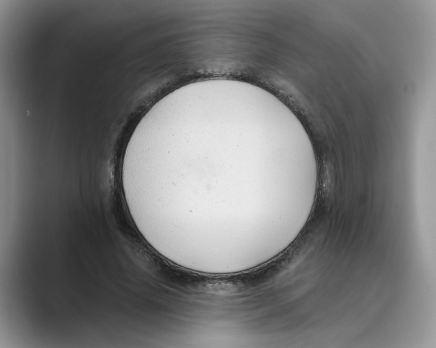 X0000088860636200707061051