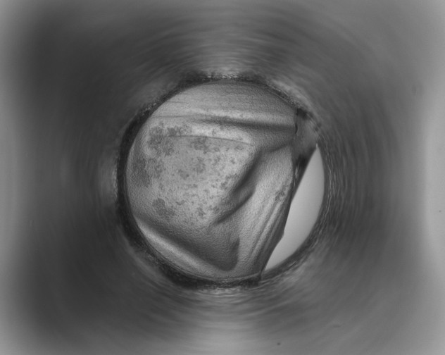 X0000088860638200707061051