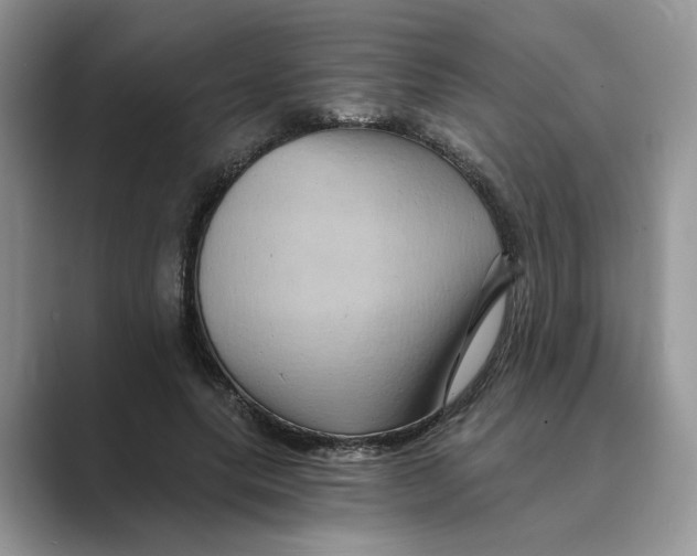 X0000088860639200707061051