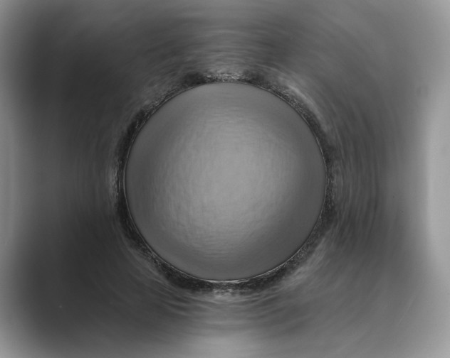 X0000088860641200707061051