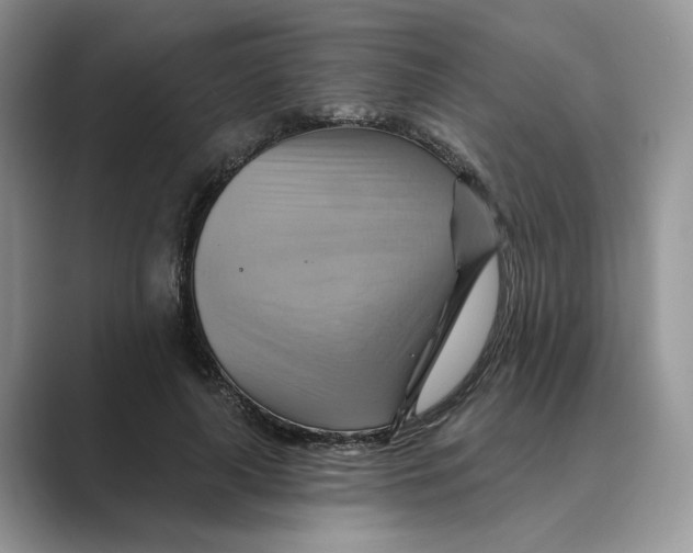 X0000088860643200707061051