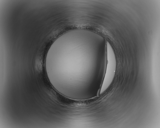 X0000088860644200707061051