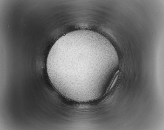 X0000088860645200707061051