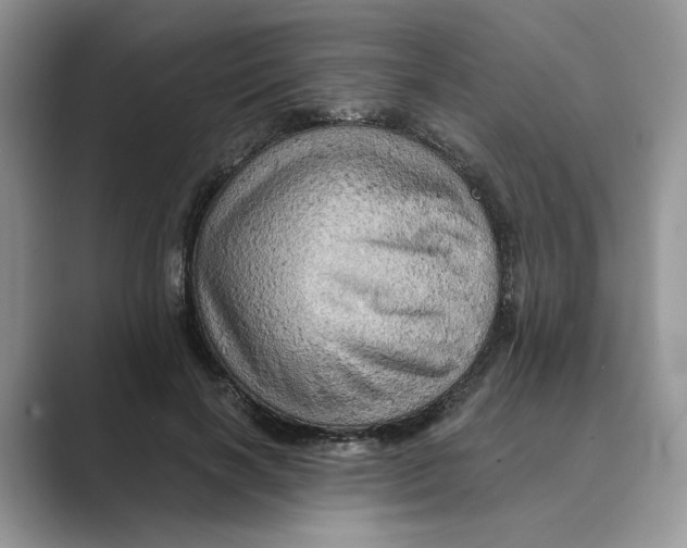 X0000088860646200707061051