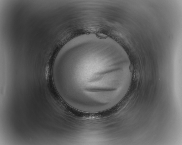 X0000088860647200707061051