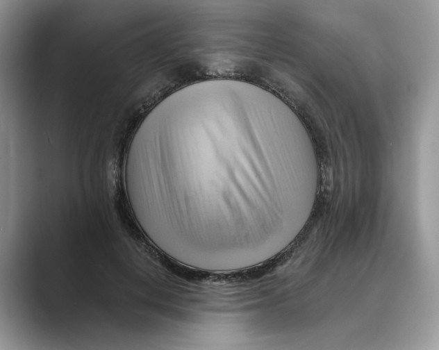 X0000088860648200707061051