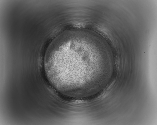 X0000088860649200707061051