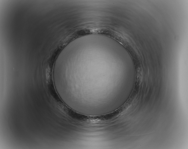 X0000088860650200707061051