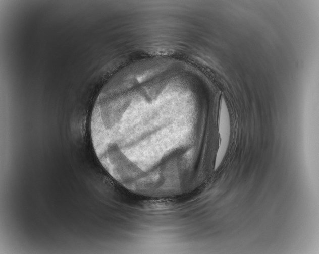 X0000088860652200707061052