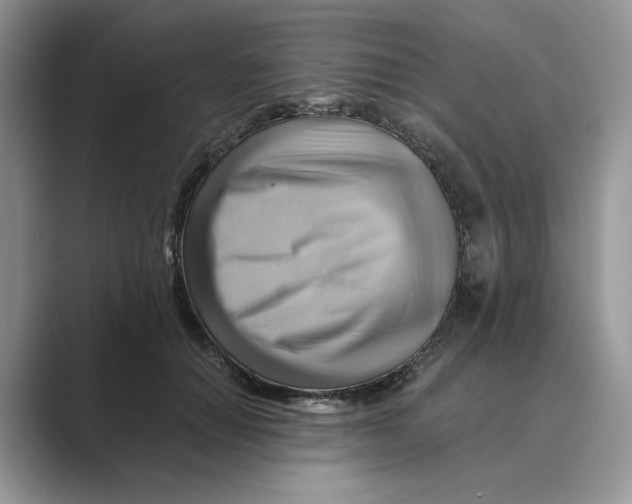 X0000088860654200707061052