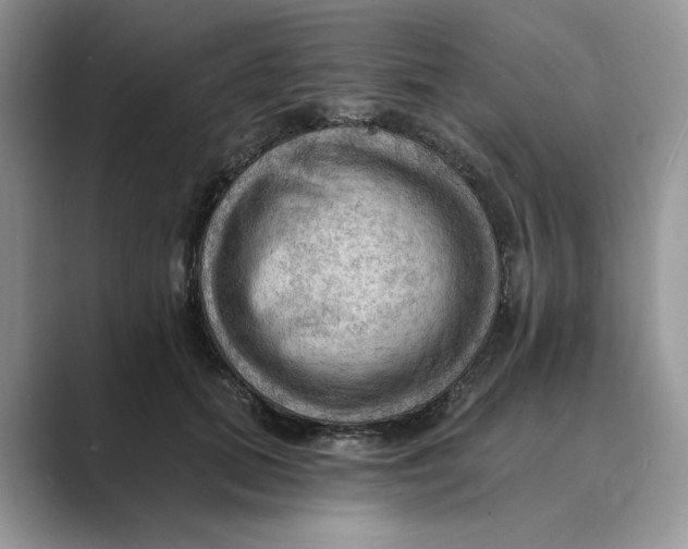 X0000088860655200707061052