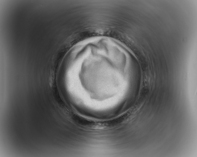 X0000088860656200707061052