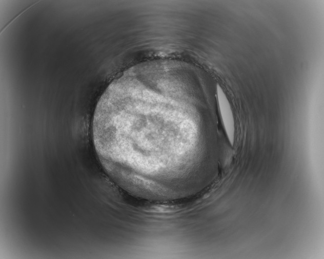 X0000088860657200707061052