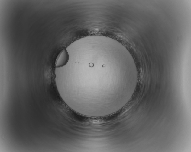 X0000088860659200707061052