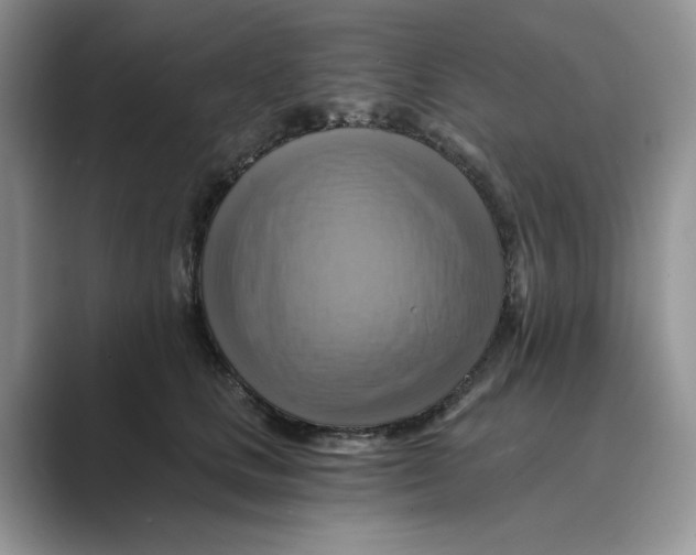 X0000088860661200707061052