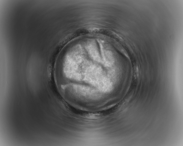 X0000088860664200707061052