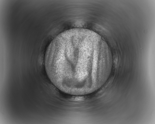 X0000088860665200707061052