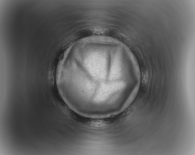 X0000088860666200707061052