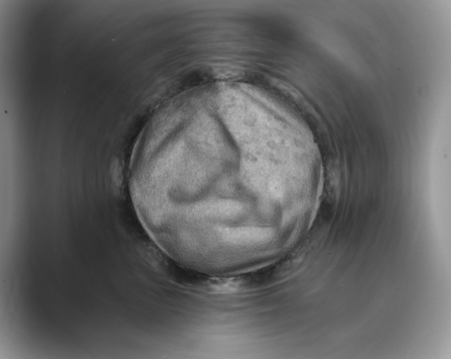 X0000088860667200707061052