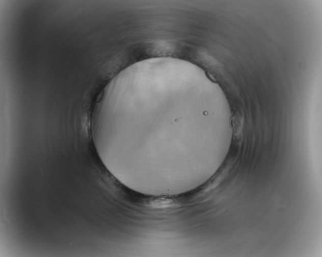 X0000088860669200707061052