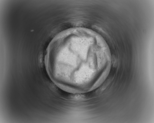 X0000088860670200707061052