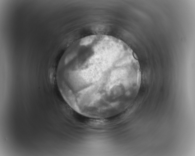 X0000088860671200707061052