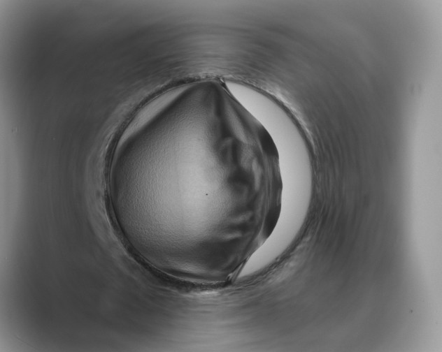 X0000088860673200707061051