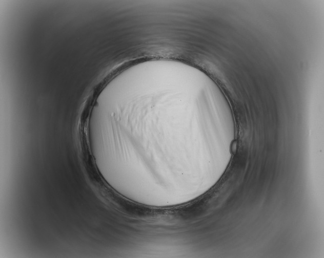 X0000088860674200707061051