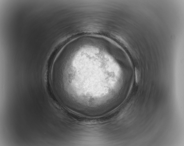 X0000088860675200707061051