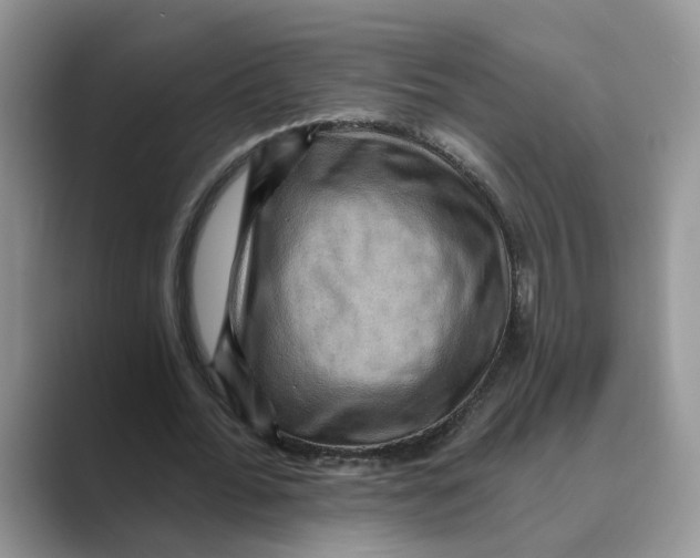 X0000088860676200707061051