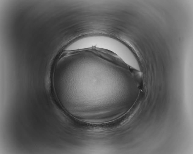 X0000088860677200707061051